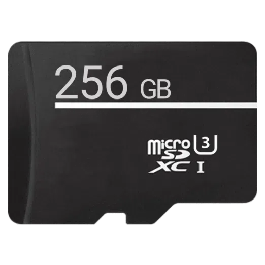 Micro SD Card 256GB