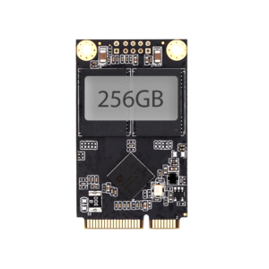 SCY 256 GB High-Speed mSATA Solid State Drive til bærbare computere og pc'er