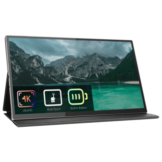Portable Monitor with Battery