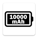10000 mAh Battery Key Feature