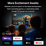 Google TV 12 op RockTek GB1 Android TV box biedt toegang tot populaire streamingplatforms zoals HBO Max, Netflix, Disney+, Peacock, Hulu, Prime Video, Apple TV+ en YouTube. Gebruikers kunnen genieten van een verscheidenheid aan entertainmentopties, van films en tv-programma's tot games en meer.